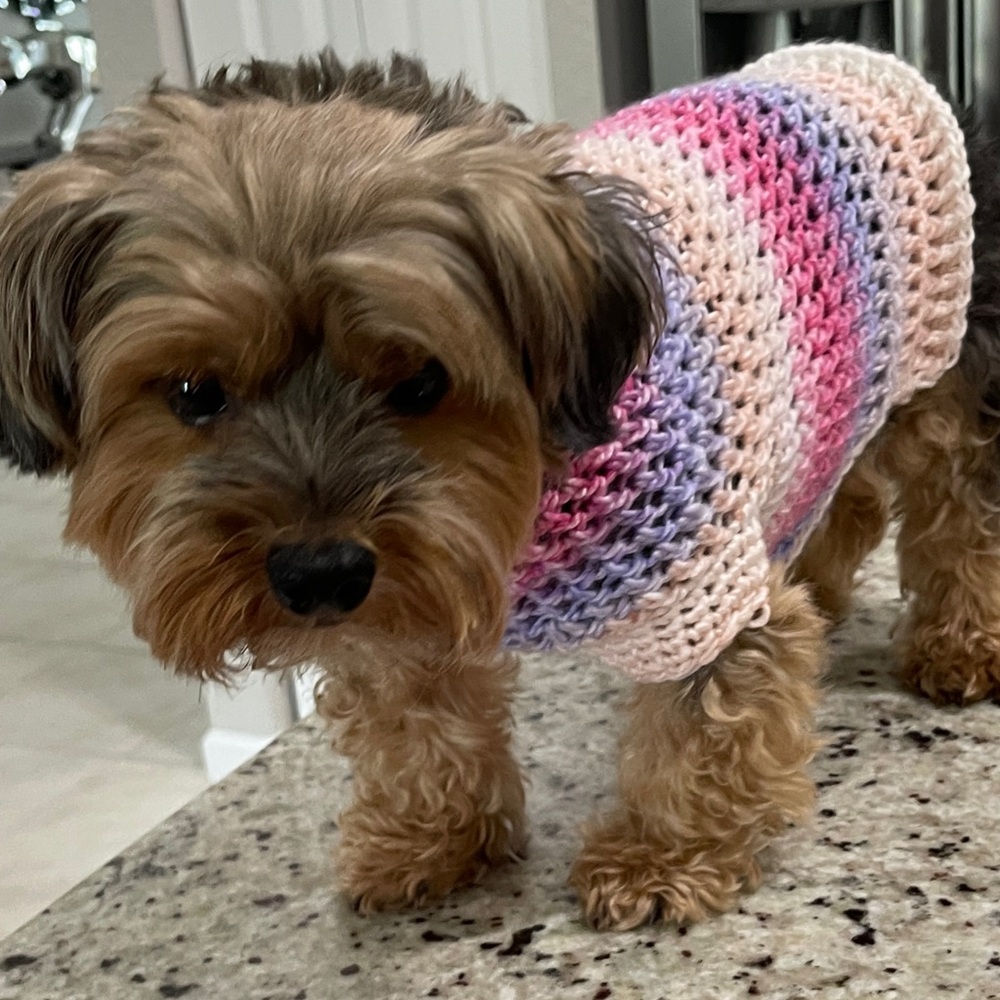 Doggie outfit